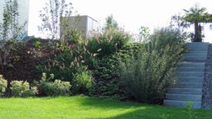 Böschung mit Gräser und Weiden und Platz für eine Wasserrutsche im