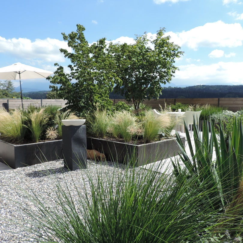 Terrassenoase mit Solitärbäumen Grosszügige Terrasse mit Solitärbäumen und pflegeleichter Bepflanzung - Wohlfühloase mit viel Ambiente